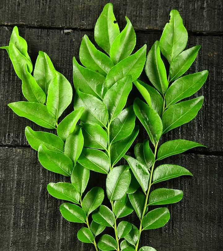Curry Leaves 0.70 lb Fresh